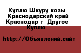 Куплю Шкуру козы - Краснодарский край, Краснодар г. Другое » Куплю   